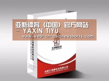 项目名称十三