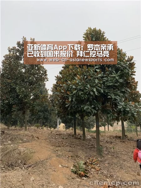 亚新体育App下载:罗本亲承已收到国米报价 拜仁挖马竞铁卫恐告吹(图1) 亚新体育手机应用