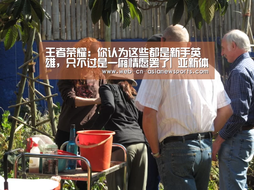 王者荣耀:你认为这些都是新手英雄,只不过是一厢情愿罢了| 亚新体育手机应用(图1) 亚新体育手机应用