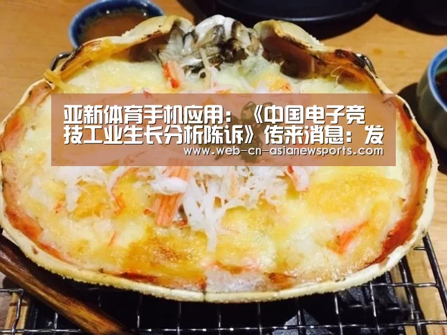 亚新体育手机应用:《中国电子竞技工业生长分析陈诉》传来消息:发作式增长领跑全球(图1) 亚新体育手机应用