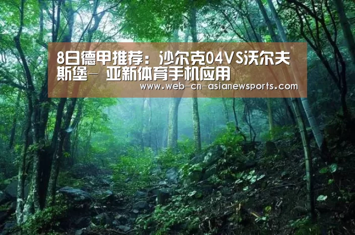 8日德甲推荐:沙尔克04VS沃尔夫斯堡- 亚新体育手机应用(图4) 亚新体育App下载